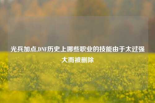 光兵加点,DNF历史上哪些职业的技能由于太过强大而被删除