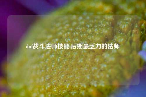 dnf战斗法师技能,后期最乏力的法师