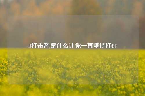 cf打击者,是什么让你一直坚持打CF