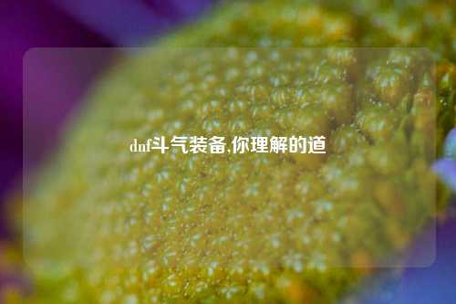 dnf斗气装备,你理解的道