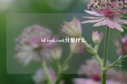 lol rank,rank分是什么