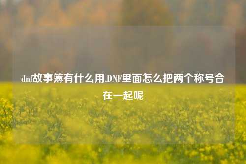 dnf故事簿有什么用,DNF里面怎么把两个称号合在一起呢