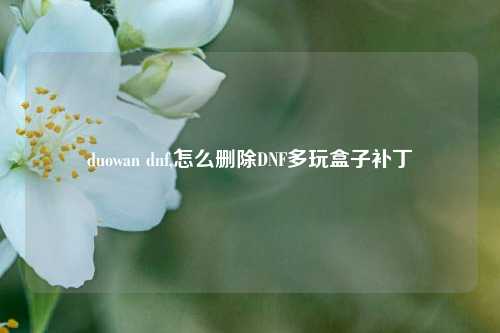 duowan dnf,怎么删除DNF多玩盒子补丁