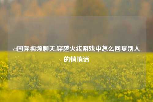 cf国际视频聊天,穿越火线游戏中怎么回复别人的悄悄话