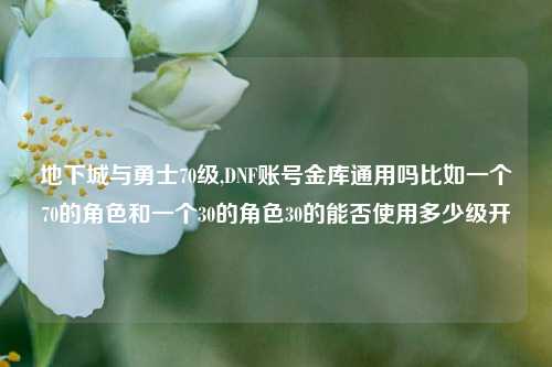 地下城与勇士70级,DNF账号金库通用吗比如一个70的角色和一个30的角色30的能否使用多少级开