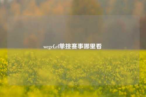 wcgcf,cf单挑赛事哪里看