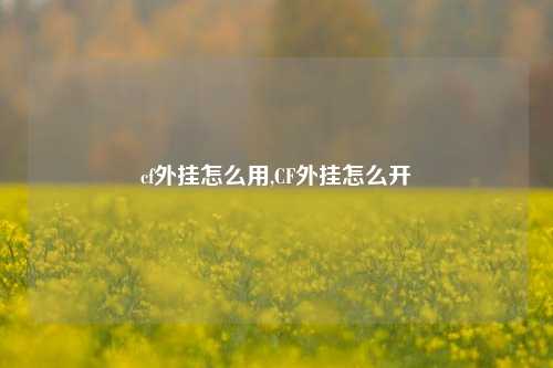 cf外挂怎么用,CF外挂怎么开