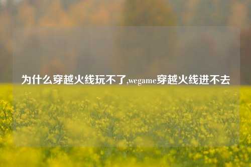 为什么穿越火线玩不了,wegame穿越火线进不去