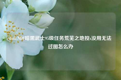 dnfz,NDF暗黑武士95级任务荒芜之地按z没用无法过图怎么办