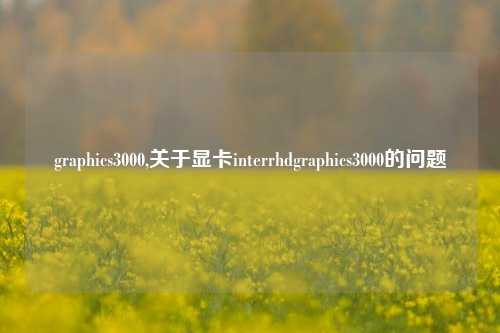 graphics3000,关于显卡interrhdgraphics3000的问题