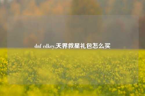 dnf cdkey,天界救星礼包怎么买