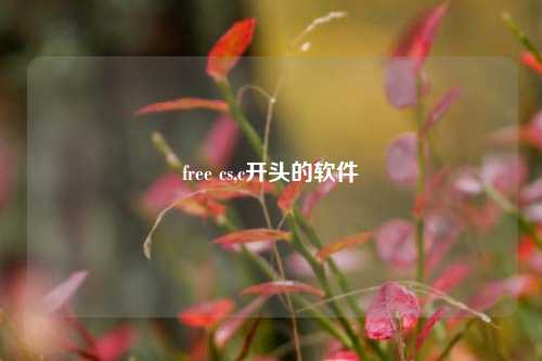 free cs,c开头的软件