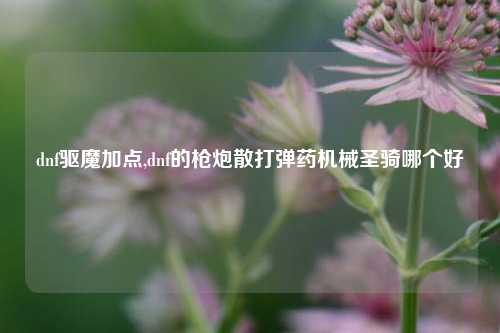 dnf驱魔加点,dnf的枪炮散打弹药机械圣骑哪个好