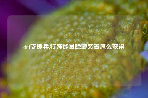 dnf支援兵,特殊能量隐藏装置怎么获得