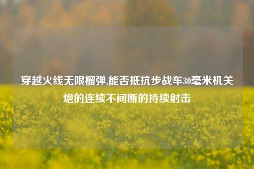 穿越火线无限榴弹,能否抵抗步战车30毫米机关炮的连续不间断的持续射击