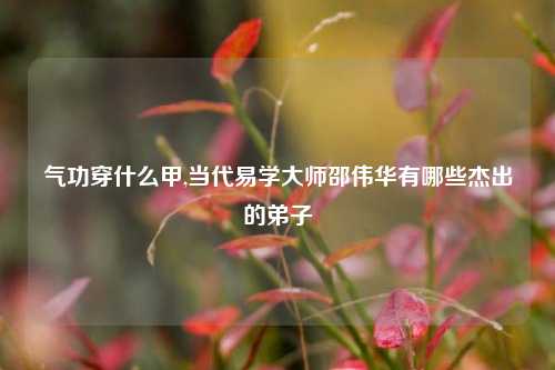 气功穿什么甲,当代易学大师邵伟华有哪些杰出的弟子