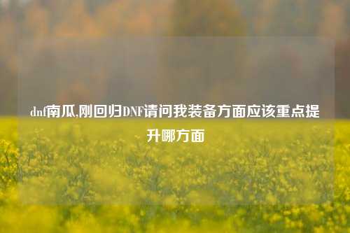 dnf南瓜,刚回归DNF请问我装备方面应该重点提升哪方面