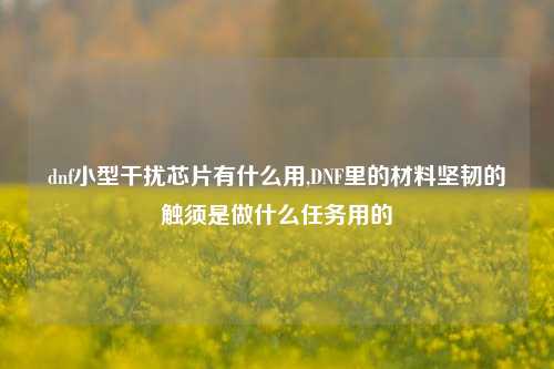 dnf小型干扰芯片有什么用,DNF里的材料坚韧的触须是做什么任务用的