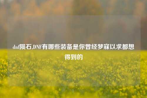 dnf陨石,DNF有哪些装备是你曾经梦寐以求都想得到的