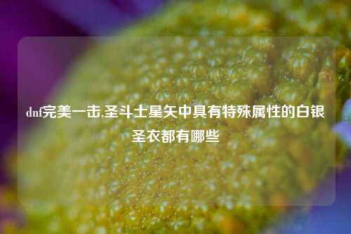 dnf完美一击,圣斗士星矢中具有特殊属性的白银圣衣都有哪些