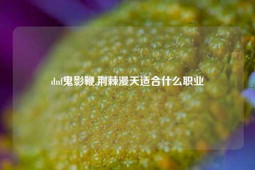 dnf鬼影鞭,荆棘漫天适合什么职业