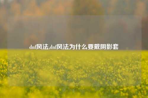 dnf风法,dnf风法为什么要戴阴影套