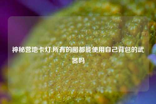 神秘营地卡灯,所有的图都能使用自己背包的武器吗