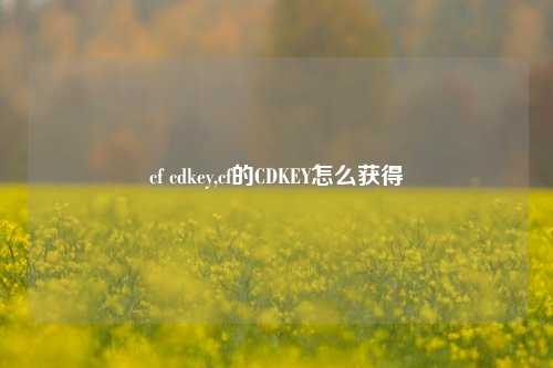 cf cdkey,cf的CDKEY怎么获得