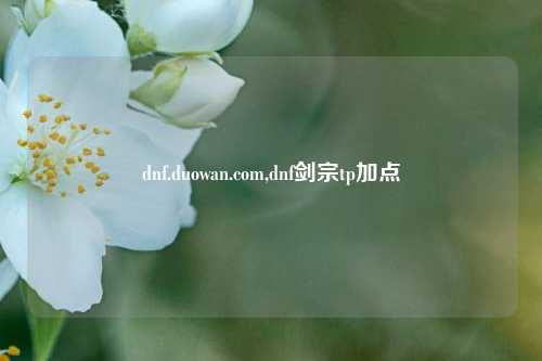 dnf.duowan.com,dnf剑宗tp加点