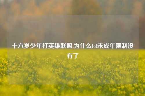 十六岁少年打英雄联盟,为什么lol未成年限制没有了