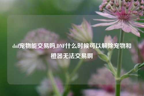 dnf宠物能交易吗,DNF什么时候可以解除宠物和橙器无法交易啊