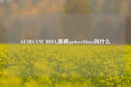 GUSHA UNU BOYA,原神gushaceliboya叫什么