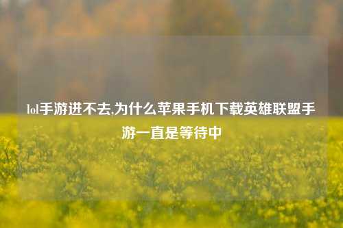 lol手游进不去,为什么苹果手机下载英雄联盟手游一直是等待中