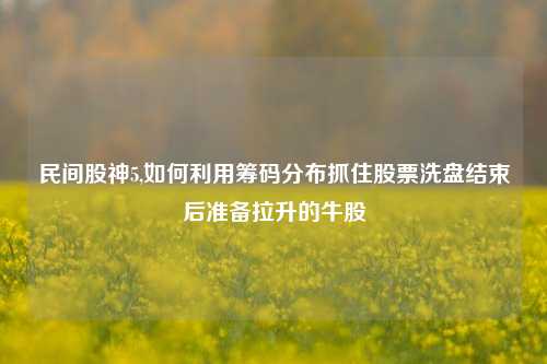 民间股神5,如何利用筹码分布抓住股票洗盘结束后准备拉升的牛股