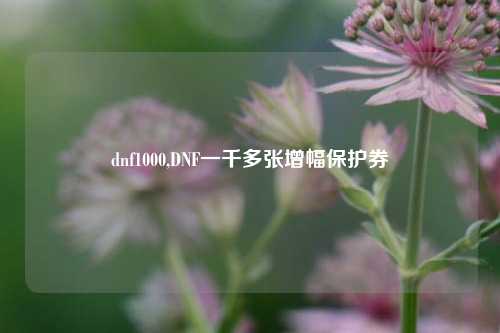 dnf1000,DNF一千多张增幅保护券