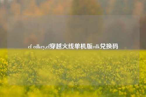 cf cdkey,cf穿越火线单机版cdk兑换码