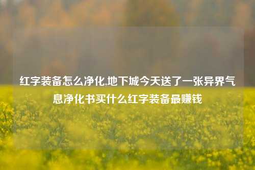 红字装备怎么净化,地下城今天送了一张异界气息净化书买什么红字装备最赚钱