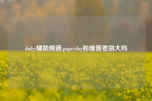 dnfyy辅助频道,paperday和维普差别大吗