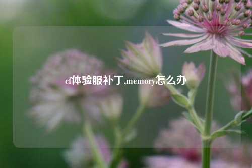 cf体验服补丁,memory怎么办