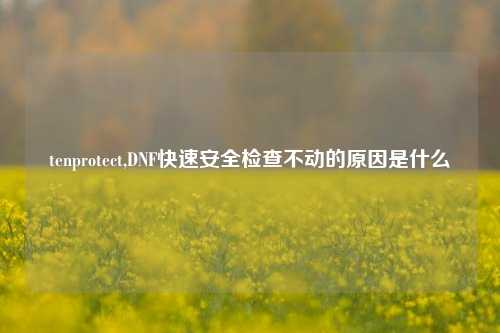 tenprotect,DNF快速安全检查不动的原因是什么