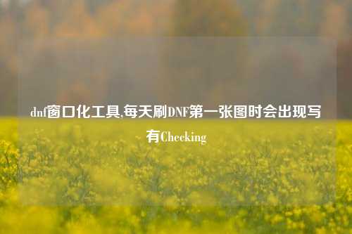 dnf窗口化工具,每天刷DNF第一张图时会出现写有Checking