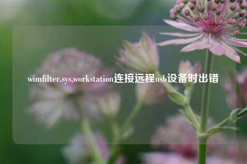 wimfilter.sys,workstation连接远程usb设备时出错