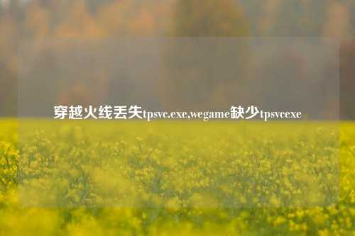 穿越火线丢失tpsvc.exe,wegame缺少tpsvcexe