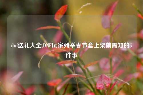 dnf送礼大全,DNF玩家列举春节套上架前需知的5件事