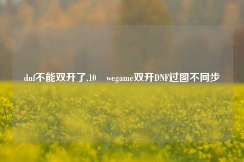 dnf不能双开了,10 wegame双开DNF过图不同步