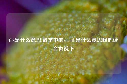 thx是什么意思,数学中的shchth是什么意思啊把读音也说下