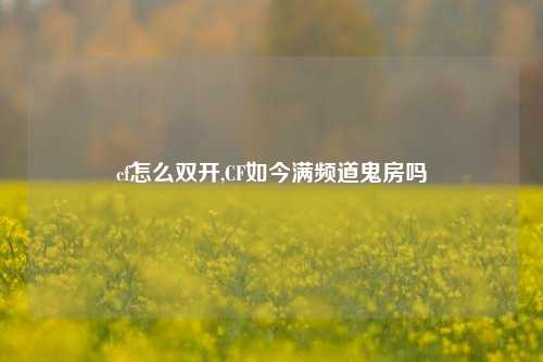 cf怎么双开,CF如今满频道鬼房吗