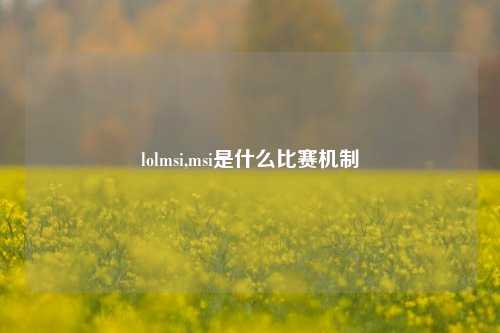 lolmsi,msi是什么比赛机制