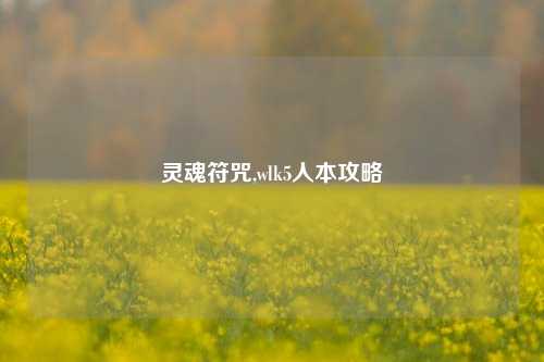 灵魂符咒,wlk5人本攻略