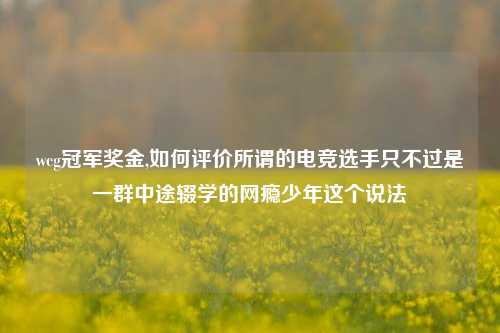 wcg冠军奖金,如何评价所谓的电竞选手只不过是一群中途辍学的网瘾少年这个说法